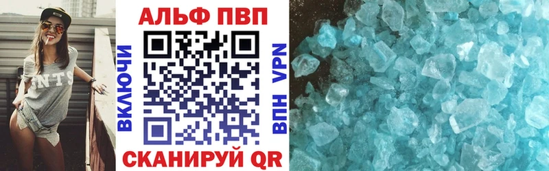 A PVP СК  Белгород 