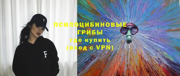 дмт Бронницы